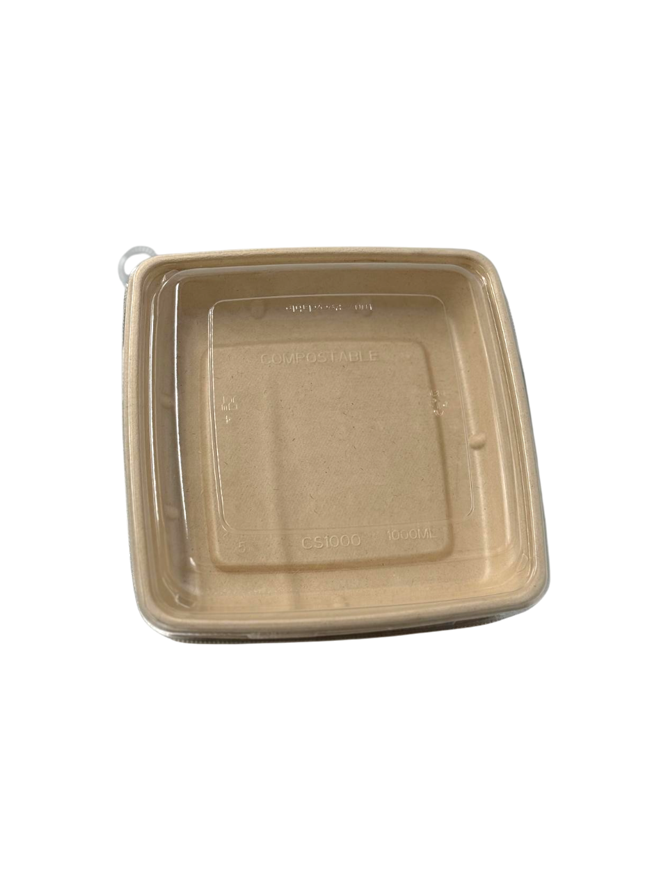 300 PCS 1000ml RE Sugarcane Containers with PET LID